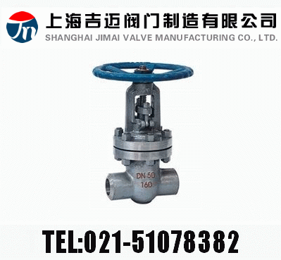 Z61HZ61YZ61W  PN100~PN160 в庸Шʽly